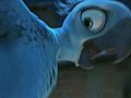 Rio - Trailer
