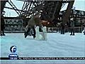 Pista de hielo en la Torre Eiffel