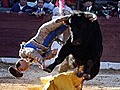 Torero von Stier lebensgefährlich verletzt