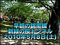 早朝の錦帯橋_20100508_トンネル