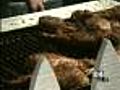 Taste Of Colorado, Sniagrab Keep Downtown Busy