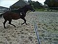 De Draver in galop