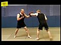 Martial Arts - Hand strikes