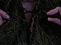 The Most Popular Ghillie Suit