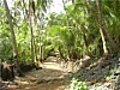Guyane, de la forêt au bagne