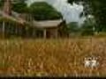CBS 2 Advice: Turn Brown Lawn Green Again