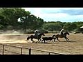 Sandman - Team Roping Horse,  Heading Horse, Heeling Horse