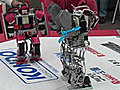 Robot Fight Club: Small Humanoid Bots Battle It Out in Japan