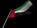 United Arab Emirates Flag Stock Footage