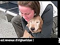 Vidéo Buzz: Elle rentre d’Afghanistan,  son chien lui fait une grosse fete !