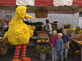 Big Bird Visits A Farm