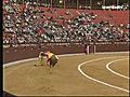 Segundos toros de la cuarta novillada de la Feria de Murcia 2010