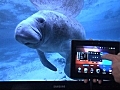 Give presentations with a BlackBerry PlayBook