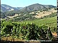 Napa Sonoma Wine Country,  California