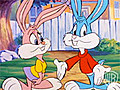 Tiny Toon Adventures - Season One: Volume Two Videos - Finding A Job