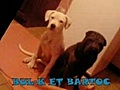 nos amis du blog