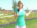 Landesgartenschau 2008 in Schleswig – der Norden blüht auf