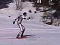 Cross or X Country Skiing-Free Skate Technique