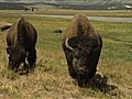 National Geographic Travel - Yellowstone: World’s First National Park