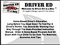 Driver’s Ed   A Temporary Pass to Freedom: The Driver&#039;s Permit