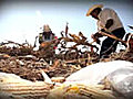 El campo mexicano está a la intemperie del clima