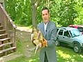 When Turtles Attack Reporters