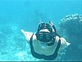 Diving Newfound Bay - St. John, US Virgin Islands