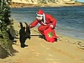 Babbo Natale in spiaggia con i gatti - Su Pallosu