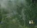 Fire Started By Downed Power Lines Lights Up Home