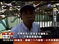 遊客騎鱷魚背台南鱷魚大王挨轟