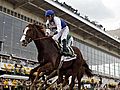 Shackleford wins Preakness,  Animal Kingdom 2nd