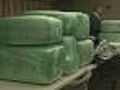 Half Ton Of Marijuana Found In Abington