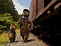 &#039;Yogi Bear&#039; Run Boo Boo Run