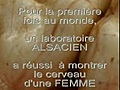 Le CERVEAU FEMININ GRANDEUR NATURE, C&#039;EST FOU????????