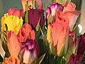 Mother’s Day - flower sales bloom