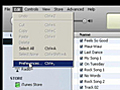 iTunes Import Preferences