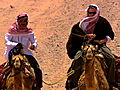 An Idiot Abroad: Camel Breakdown