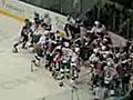 Mass Hockey Fight