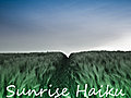 Sunrise Haiku