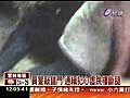 員警敲錯門通緝犯心虛跳樓斷腿