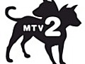 MMA Goes MTV