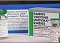 Preventing Rabies