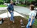 How to Plant Ground Cover