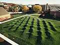 The Architecture of Nature: A Talk by Maya Lin