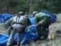 Hidden Pot Farm May Be Tied To Mexican Drug Trade