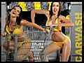 Pioccola collezione di calendari trash