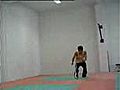 Stephen K Chan Karate Techniques