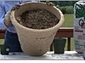 Herb Garden - How to Make Your Own Potting Soil