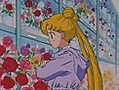 Sailor Moon S - Capitulo 116