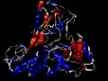 Helicase-1A1V short small demonstration animation